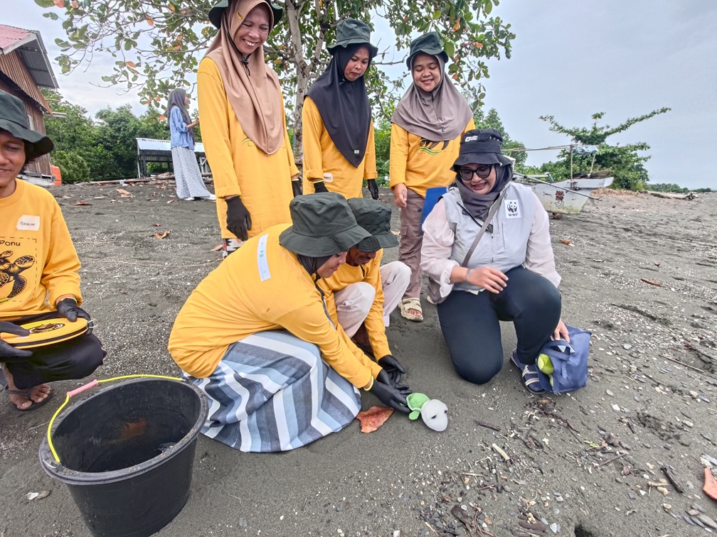Pelatihan Pemantauan Penyu di Desa Lalombi Dorong Perubahan Perilaku Masyarakat untuk Konservasi