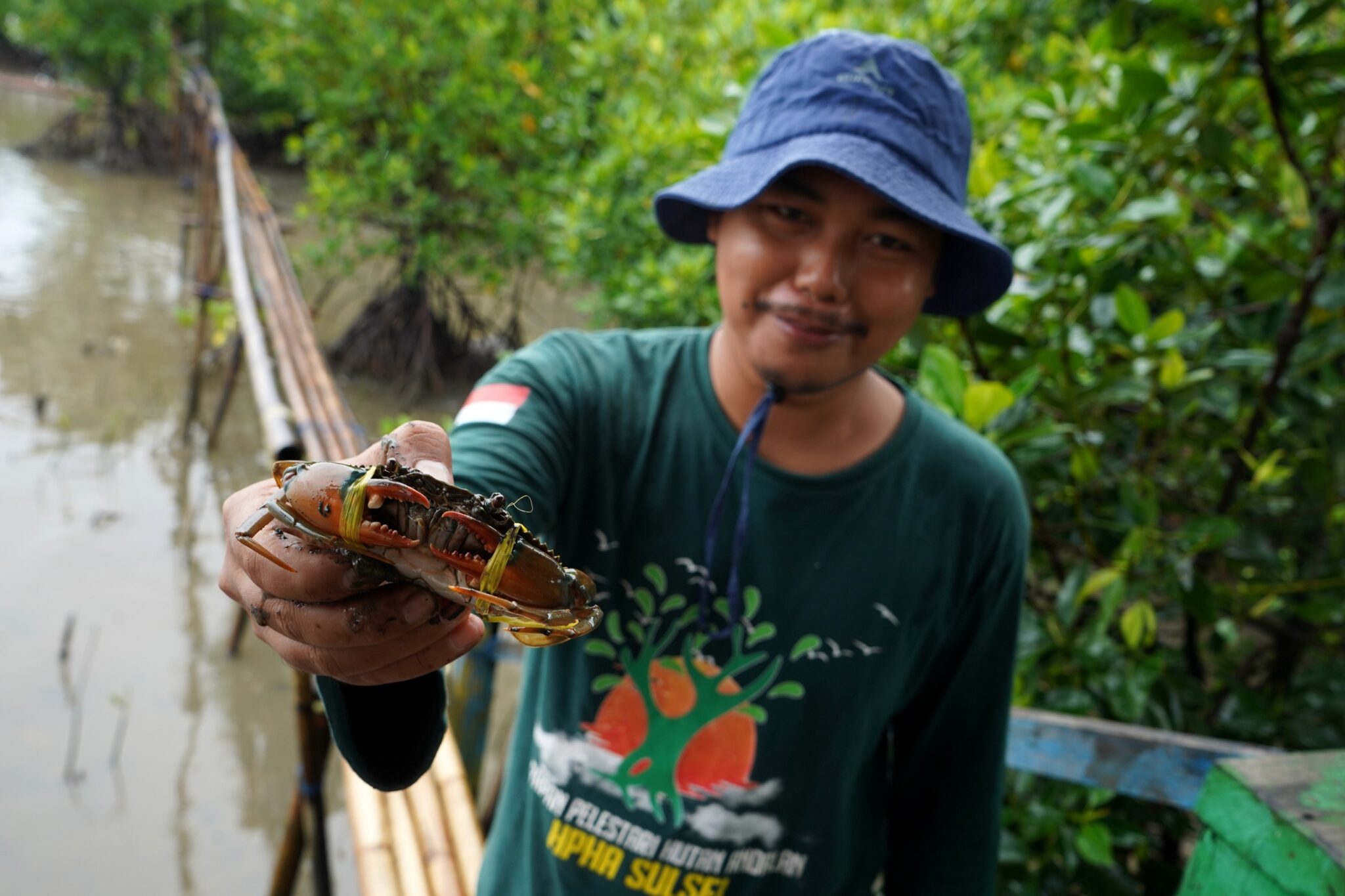 Dukungan Penguatan Kawasan Mangrove dan Kepiting Bakau di Lantebung ...