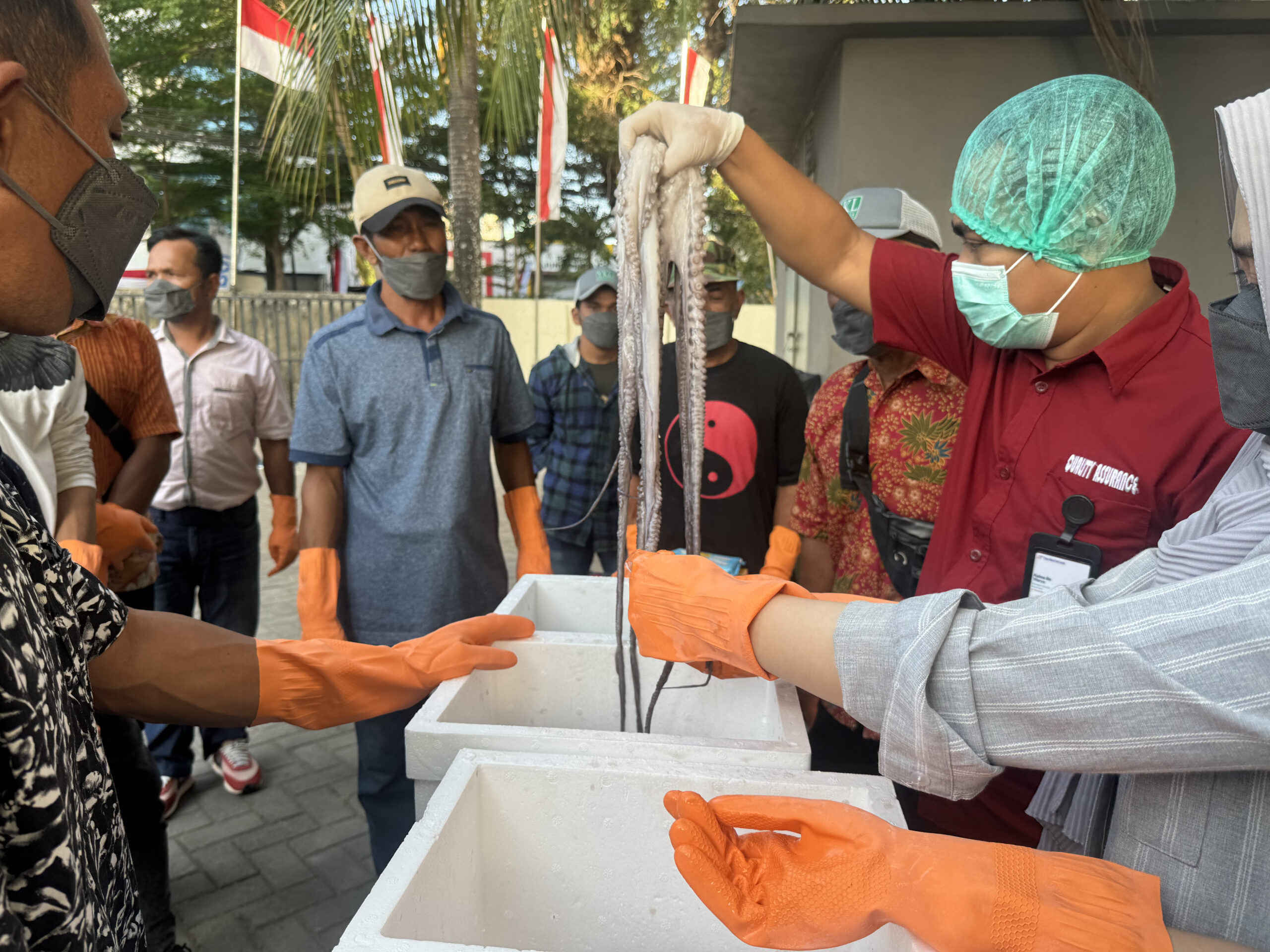 Nelayan Langkai dan Lanjukang Perkuat Mutu Tangkapan Gurita Lewat Pelatihan CPIB