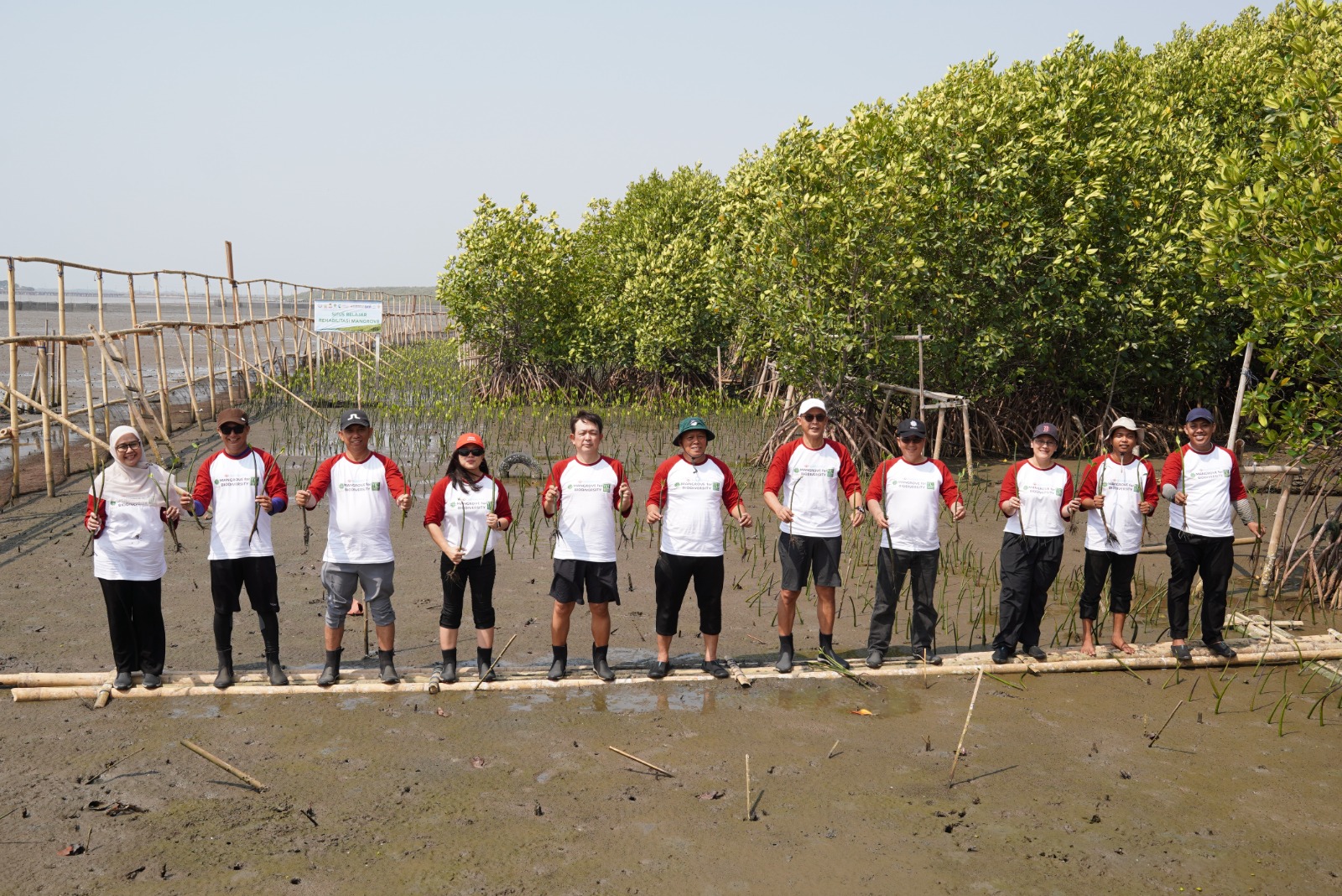 PT Sankyu, KEHATI, dan YKL Indonesia Perkuat Situs Belajar Rehabilitasi Mangrove Lantebung dan Pengembangan Ekonomi Kepiting Bakau